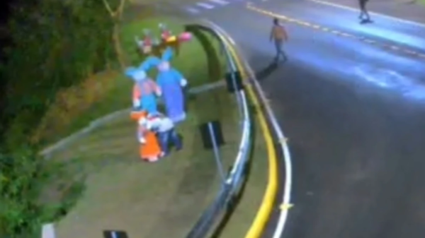 coelho pascoa furtado