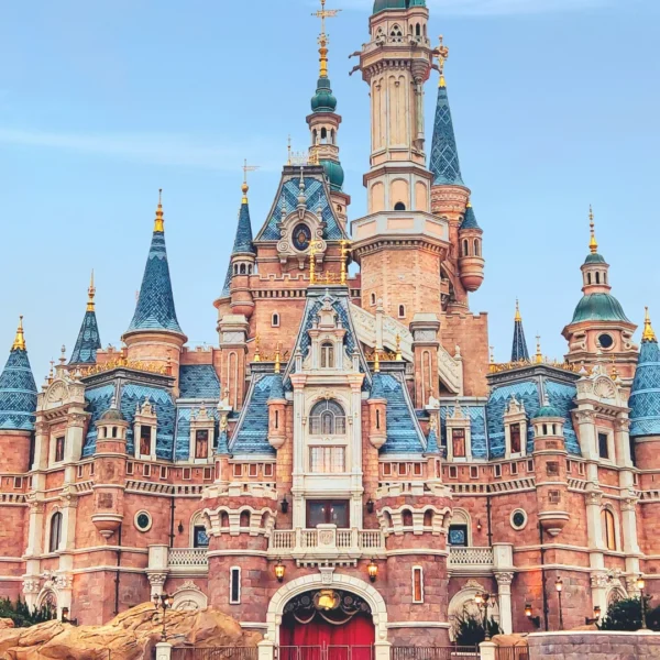 funcionários disney hospital