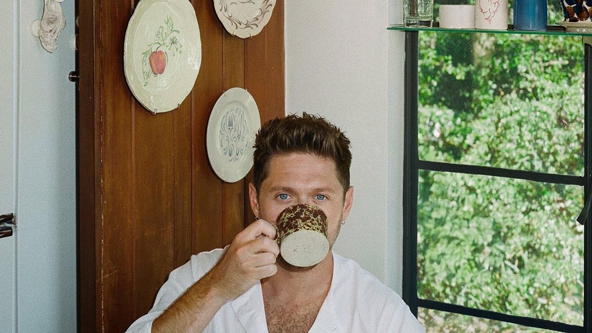 niall horan dinner party