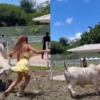 Nicole Bahls leva susto após ser atacada por vaca em fazenda no Rio de Janeiro