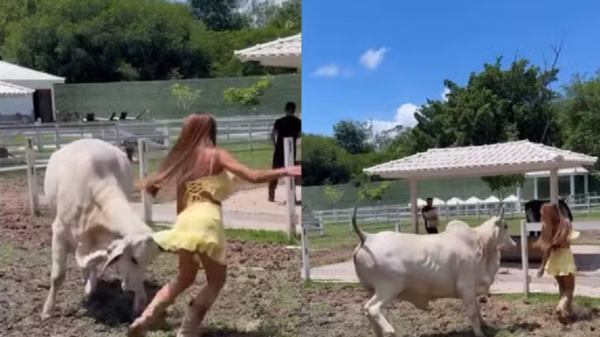 Nicole Bahls leva susto após ser atacada por vaca em fazenda no Rio de Janeiro 1 Nicole Bahls leva susto após ser atacada por vaca em fazenda no Rio de Janeiro