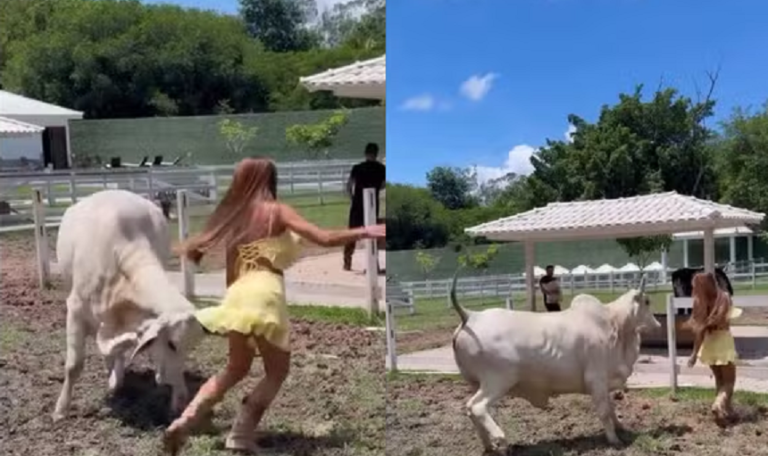 Nicole Bahls leva susto após ser atacada por vaca em fazenda no Rio de Janeiro 52 Nicole Bahls leva susto após ser atacada por vaca em fazenda no Rio de Janeiro