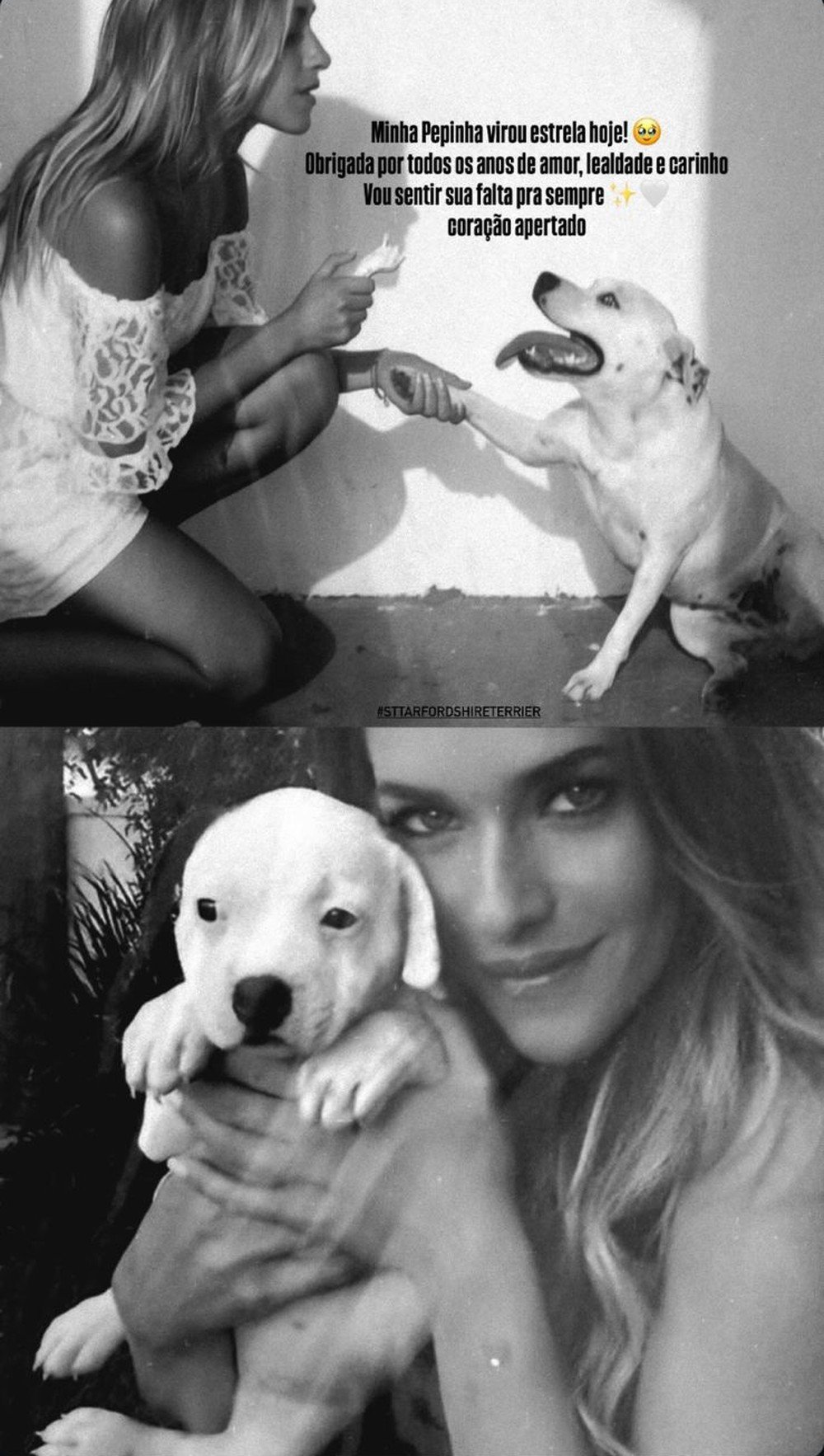 Monique Alfradique lamenta morte de sua cachorrinha Pepinha: “Anos de amor e lealdade”