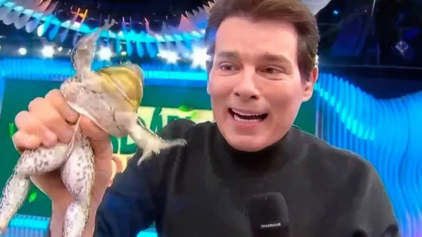 celso portiolli maus tratos rã