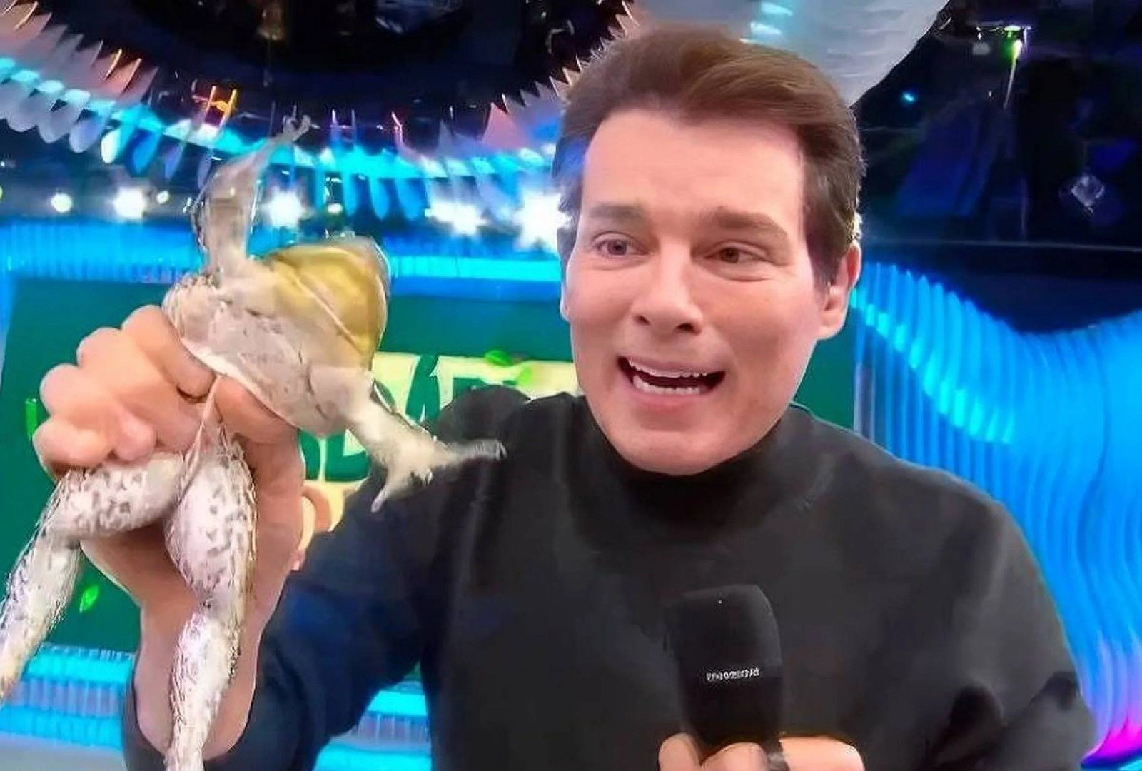 celso portiolli maus tratos rã