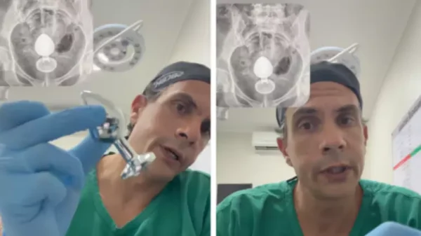 kelly (1) 1h7fvzcgr7p0m