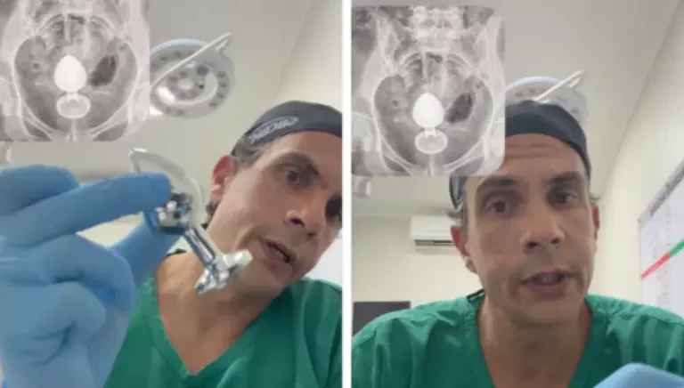 kelly (1) 1h7fvzcgr7p0m