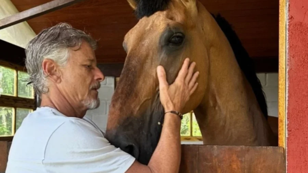 Aos 63 anos, ator Marcello Novaes troca holofotes por vida isolada no campo; saiba detalhes 1 marcelo novaes vive isolado