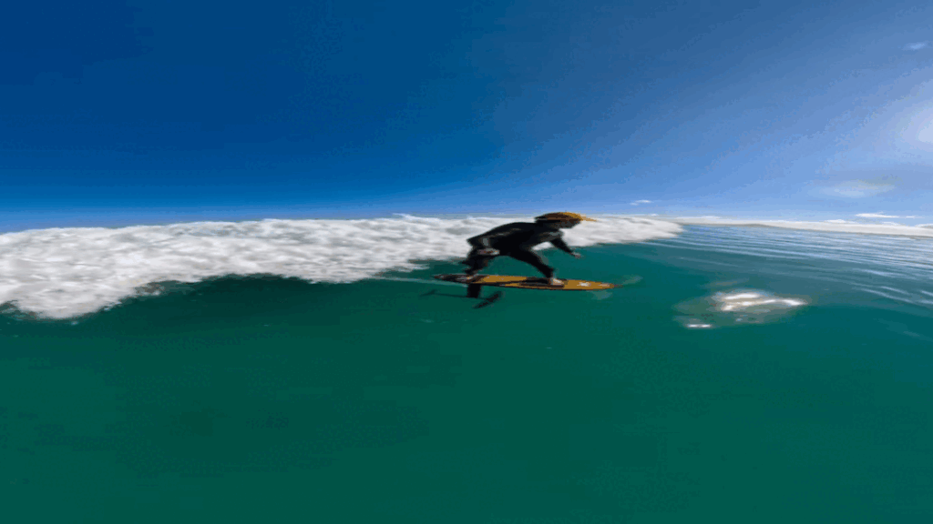 portalpopmais tubarao martelo gif (2)