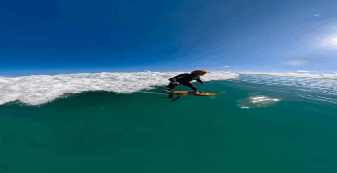 portalpopmais tubarao martelo gif (2)