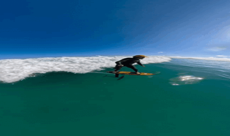 portalpopmais tubarao martelo gif (2)