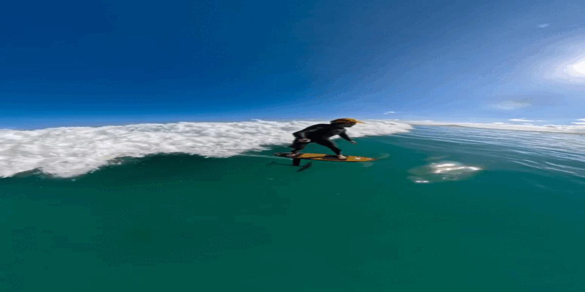 portalpopmais tubarao martelo gif (2)