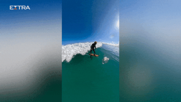 Surfista passa por cima de tubarão-martelo de 2,5 metros: 'Tentei não entrar em pânico' 41 portalpopmais tubarao martelo gif