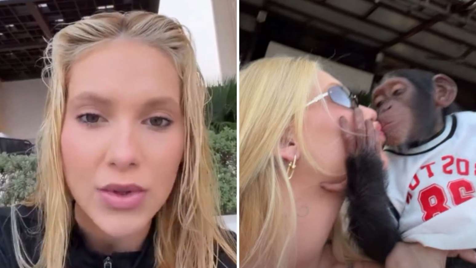 23144033 virginia fonseca chora ao se defender de criticas por beijar macaco jamaiscomparacao ridicula