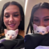 ana castela adota gato