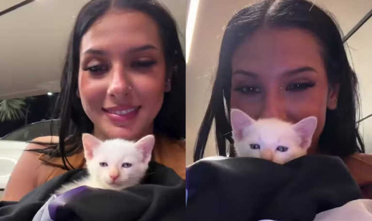 ana castela adota gato