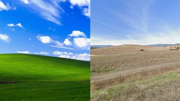 colina windows xp
