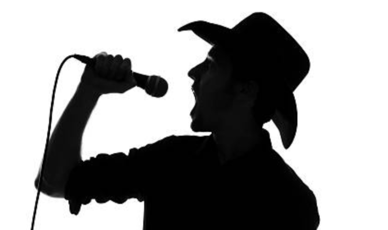 Cantor sertanejo morre em queda de aeronave