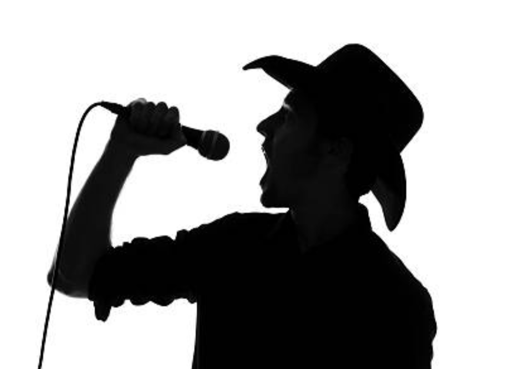 Cantor sertanejo morre em queda de aeronave