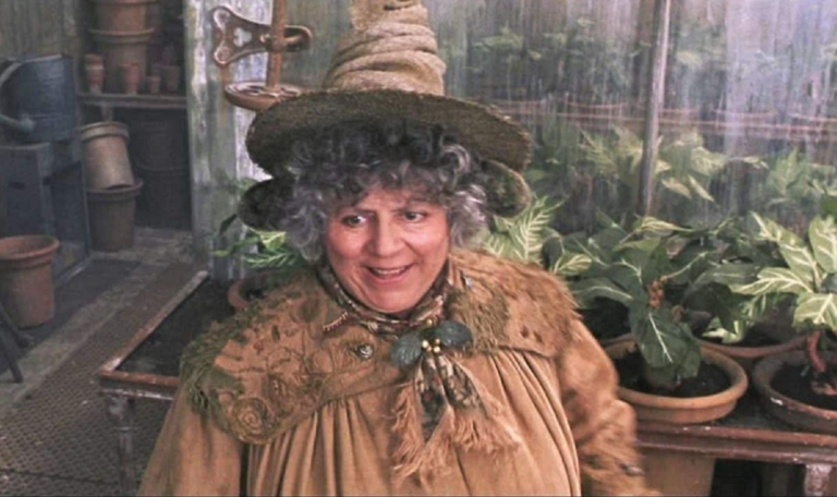 Atriz de 'Harry Potter' diz que recebeu cachê "porcaria" por filmes da franquia; saiba quanto 49 atriz-harry-potter-miriam-margolyes-revela-cache-franquia