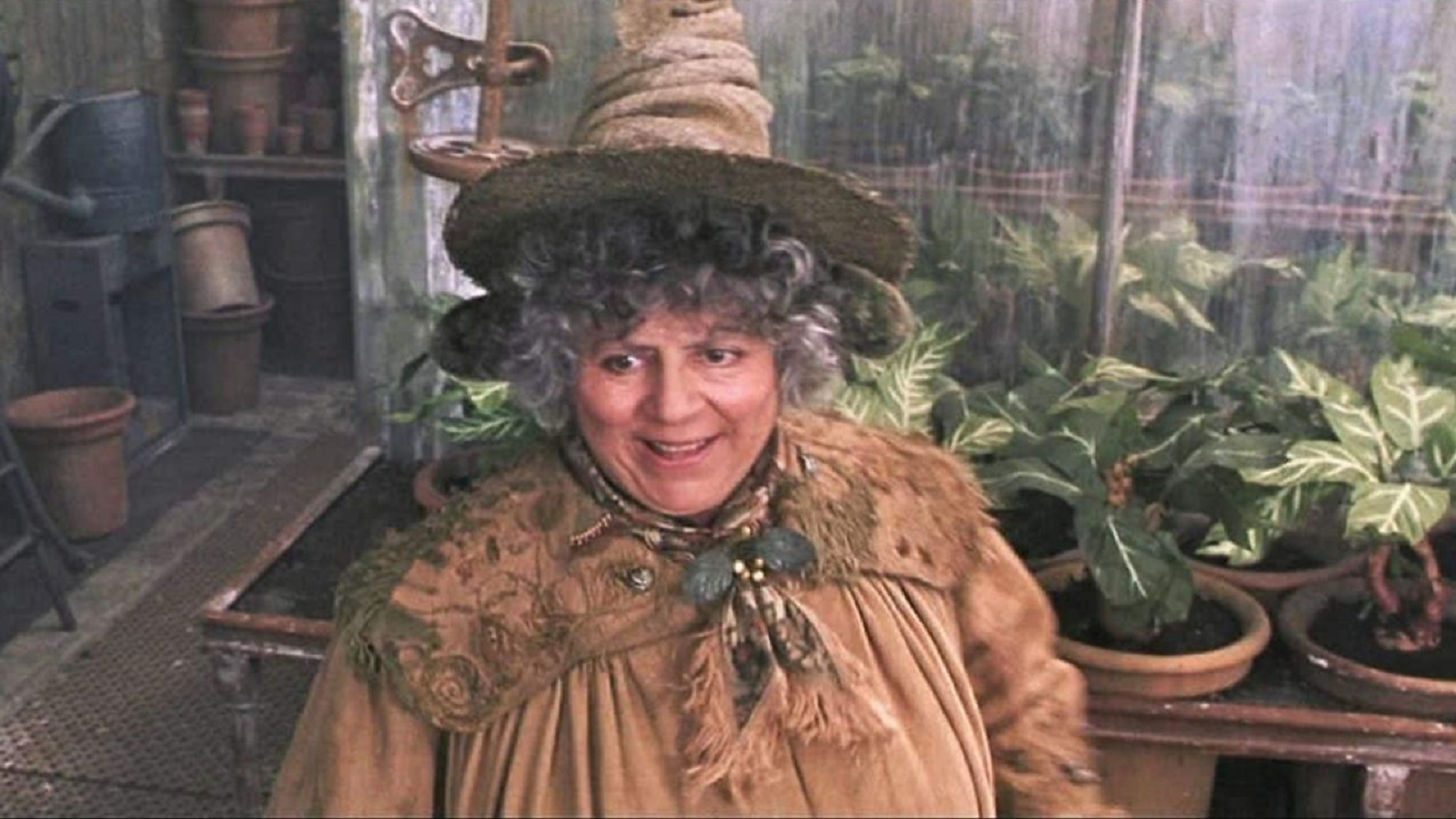 atriz-harry-potter-miriam-margolyes-revela-cache-franquia