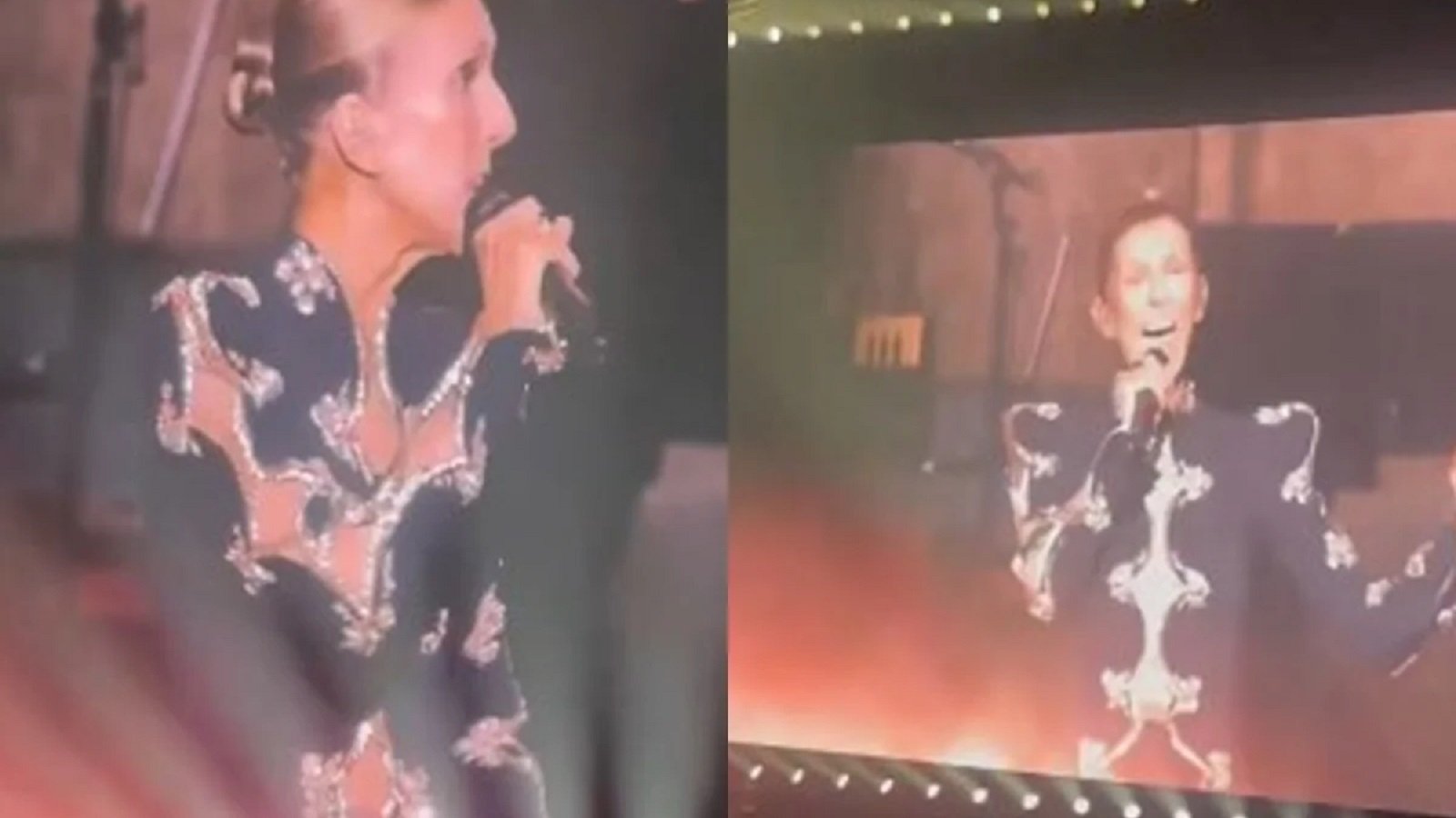 celine dion emociona retorno palcos