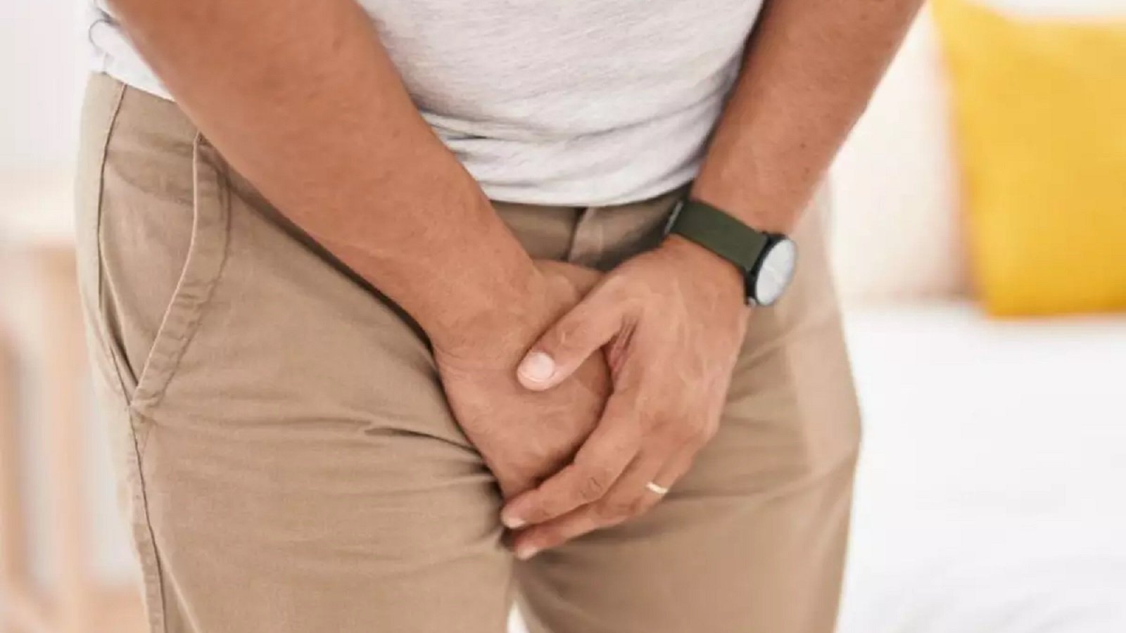 malhar penis
