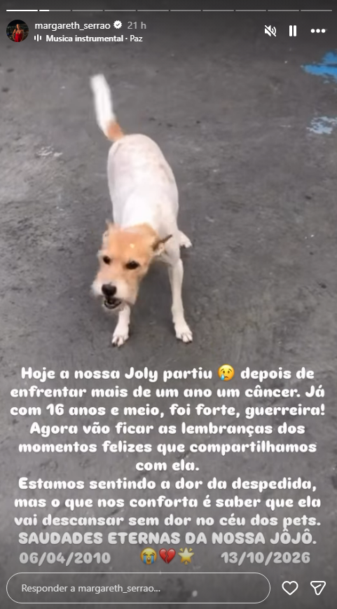 Morre Joly, cachorrinha de Virginia Fonseca e Margareth Serrão, aos 16 anos
