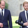 Família Real tem 'plano secreto' para reconciliar William e Harry; saiba qual