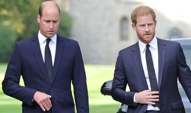 Família Real tem 'plano secreto' para reconciliar William e Harry; saiba qual
