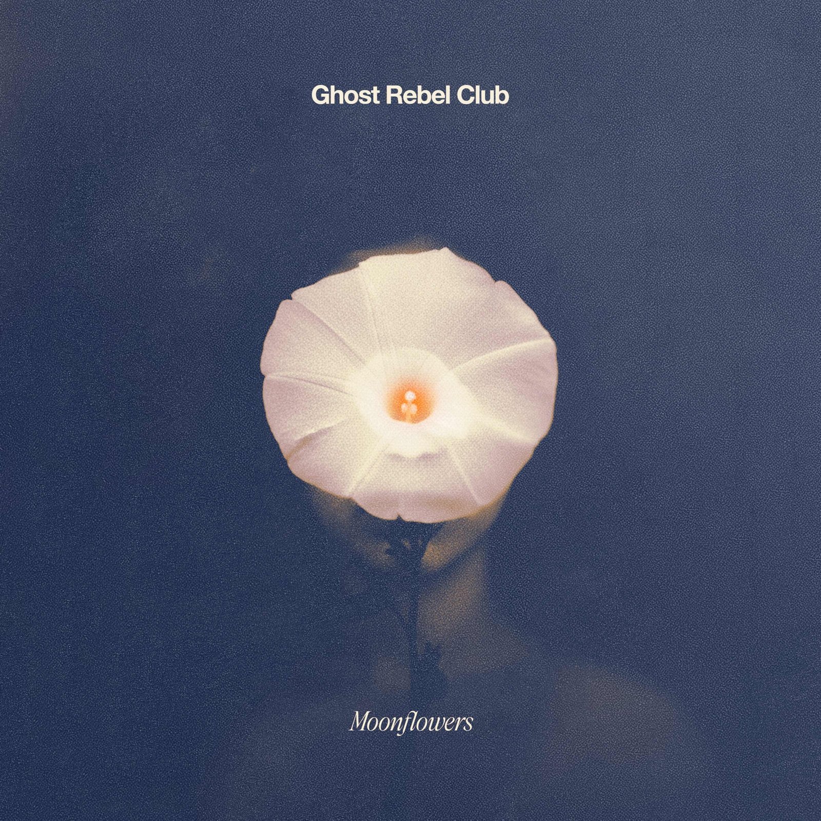 Ghost Rebel Club apresenta Moonflowers, álbum que une surrealismo poético e pop cinematográfico